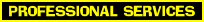 PROFESSIONAL SERVICES